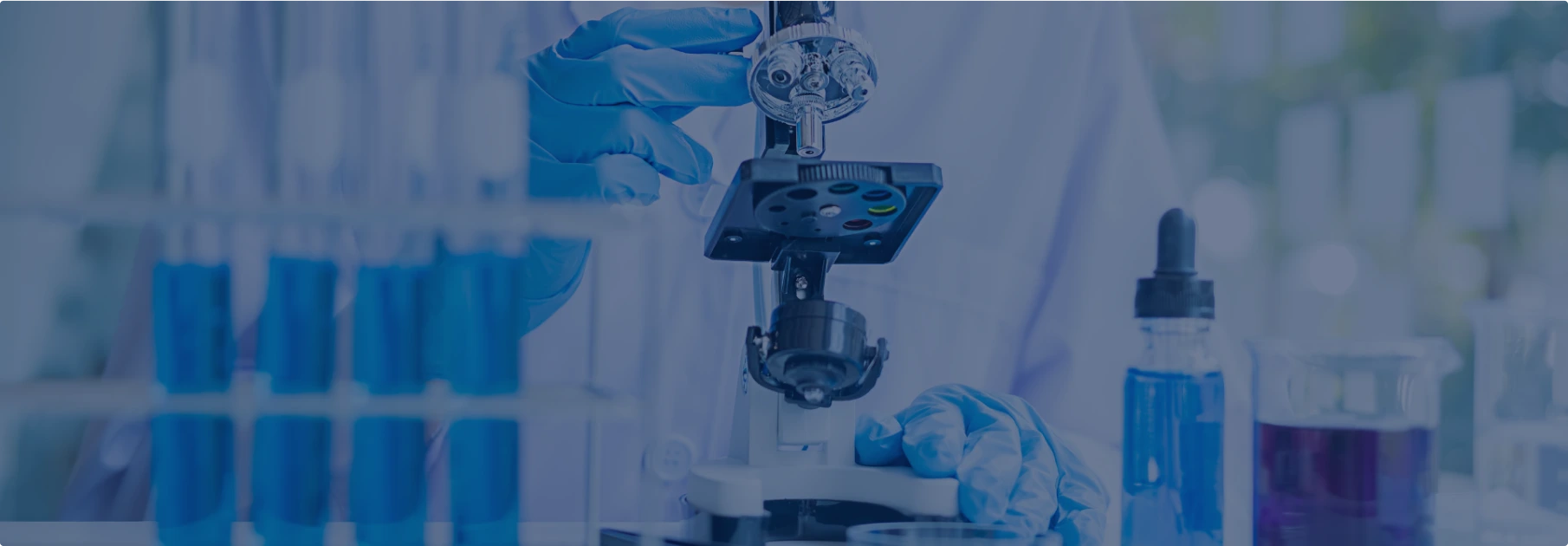 Sample Check on Microscope