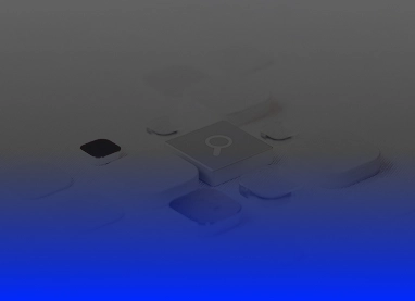 IP Strategy & Litigation Support