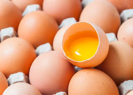Egg Protein Companies in Australia